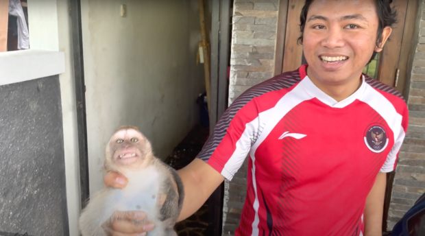 cambodia monkey abuse